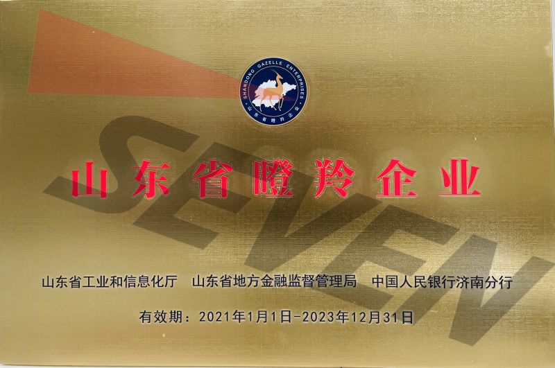 2021 Shandong Province Gazelle Enterprise